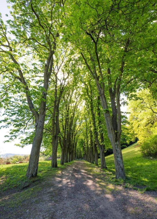 Urlaub In Schlossnaehe Artstetten Luaran gambar